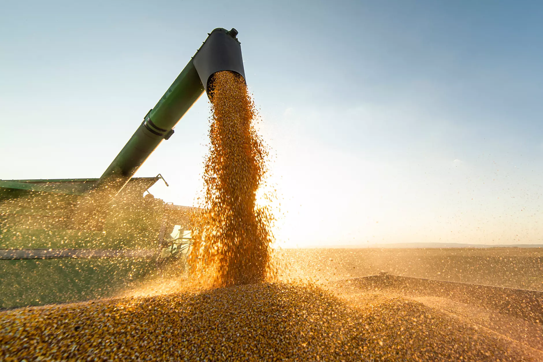 Световните борси: В очакване на украинското зърно
