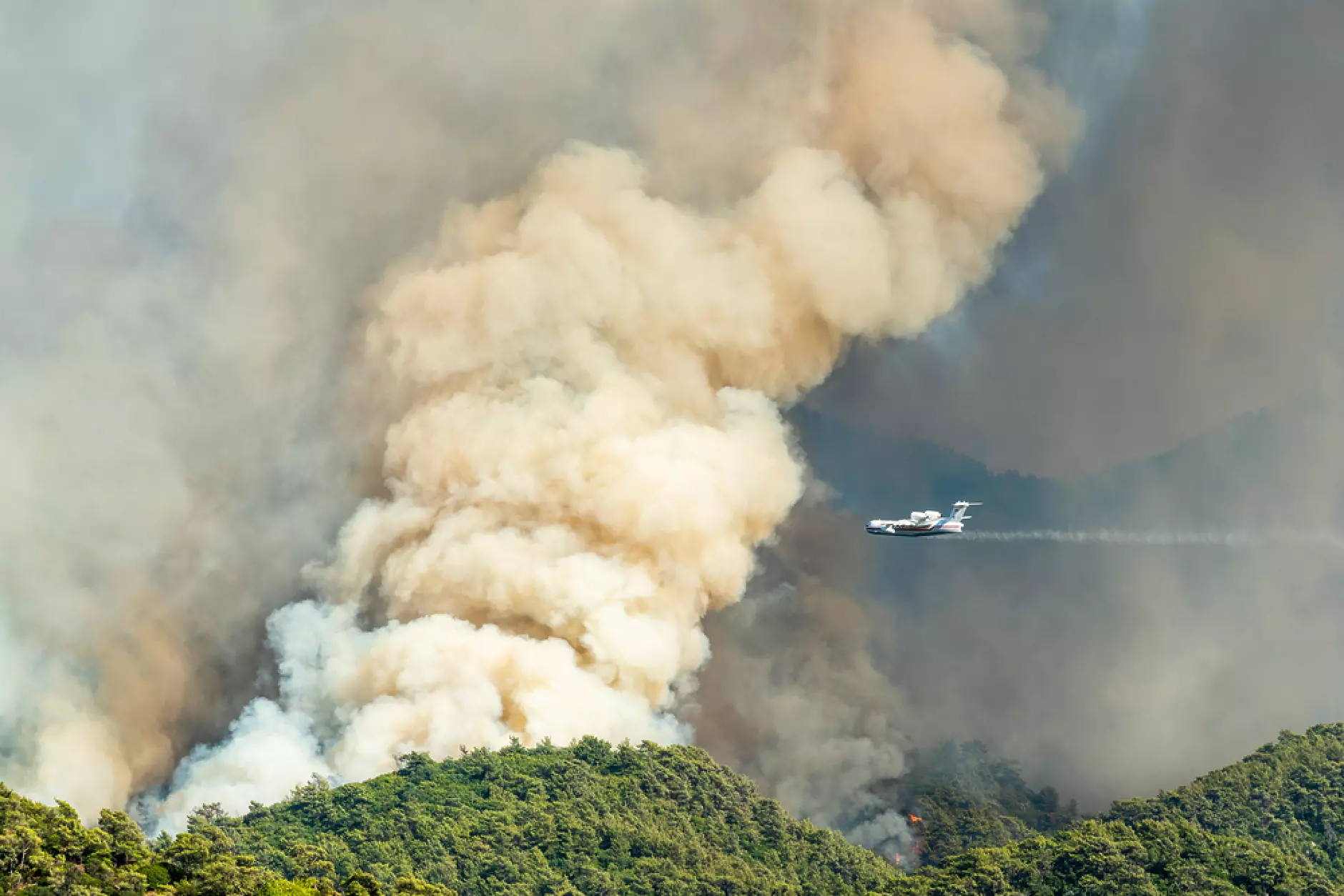 Гърция загуби 13 290 хектара гори от пожарите през юли