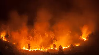 Гори пожар в Сакар планина