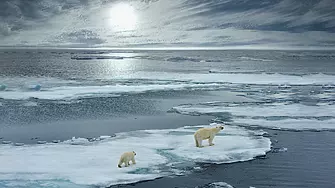 Швеция ще изгражда нов ветропарк в Балтийско море 