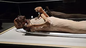 Археолози извадиха непокътнат саркофага на ковчежника на Рамзес II 