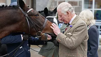 Чарлс III продава 12 от състезателните коне на Елизабет II