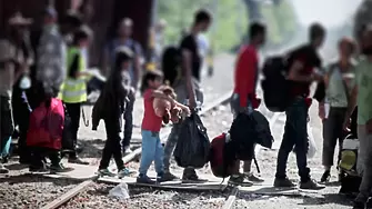 Сюлейман Сойлу: Незаконната миграция в Турция е намаляла с 35 процента