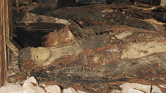 Археолози разгадаха тайната на мумифицирането по следите в древна работилница