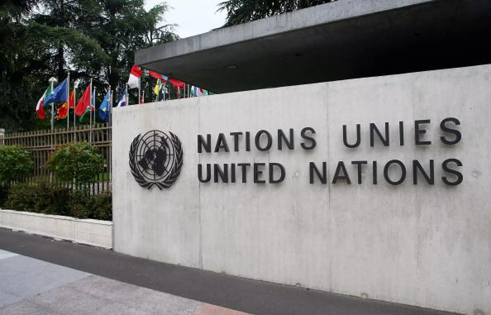 ООН очаква забавянето на световната икономика да продължи