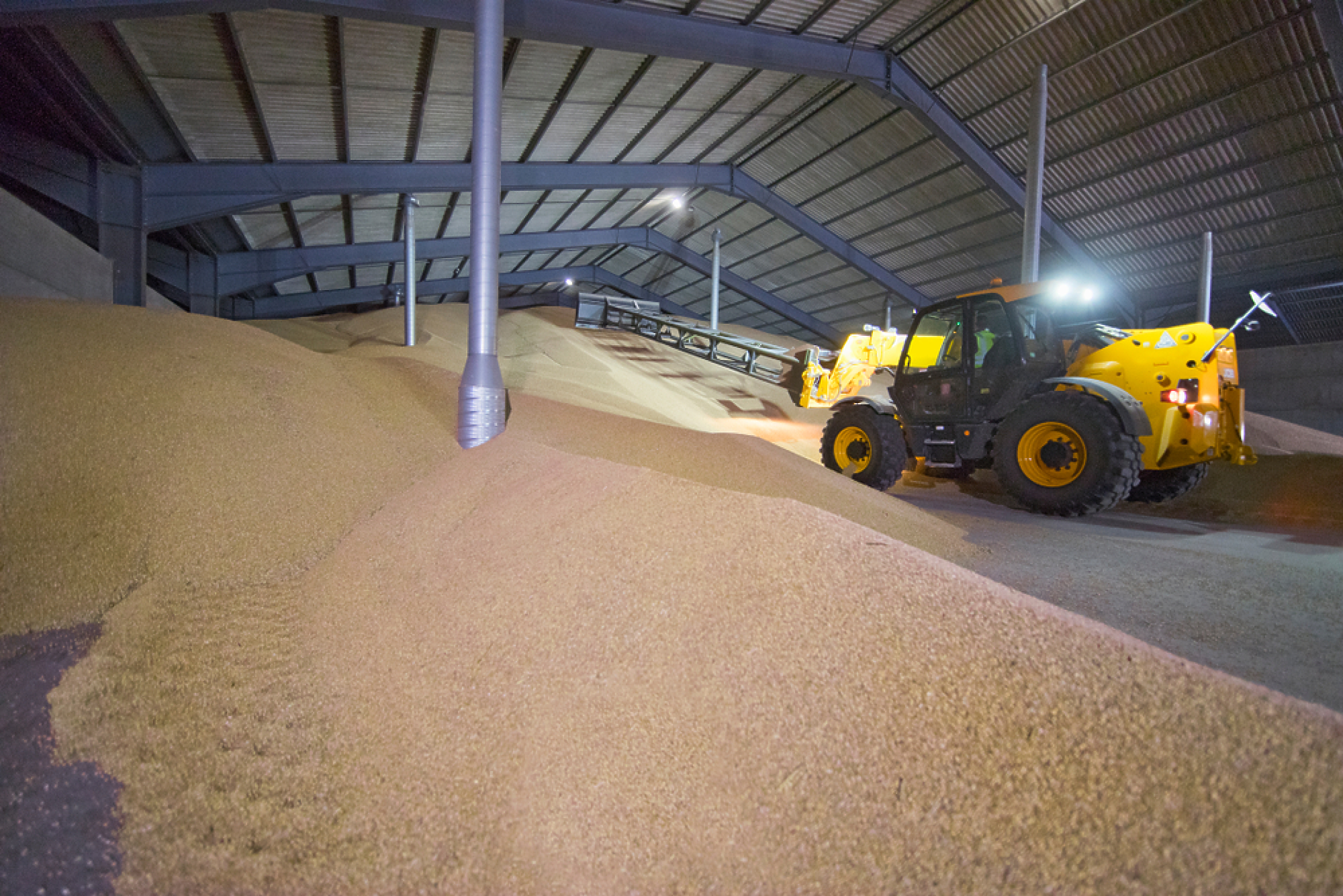 Световните цени на пшеницата и царевицата тръгнаха надолу 