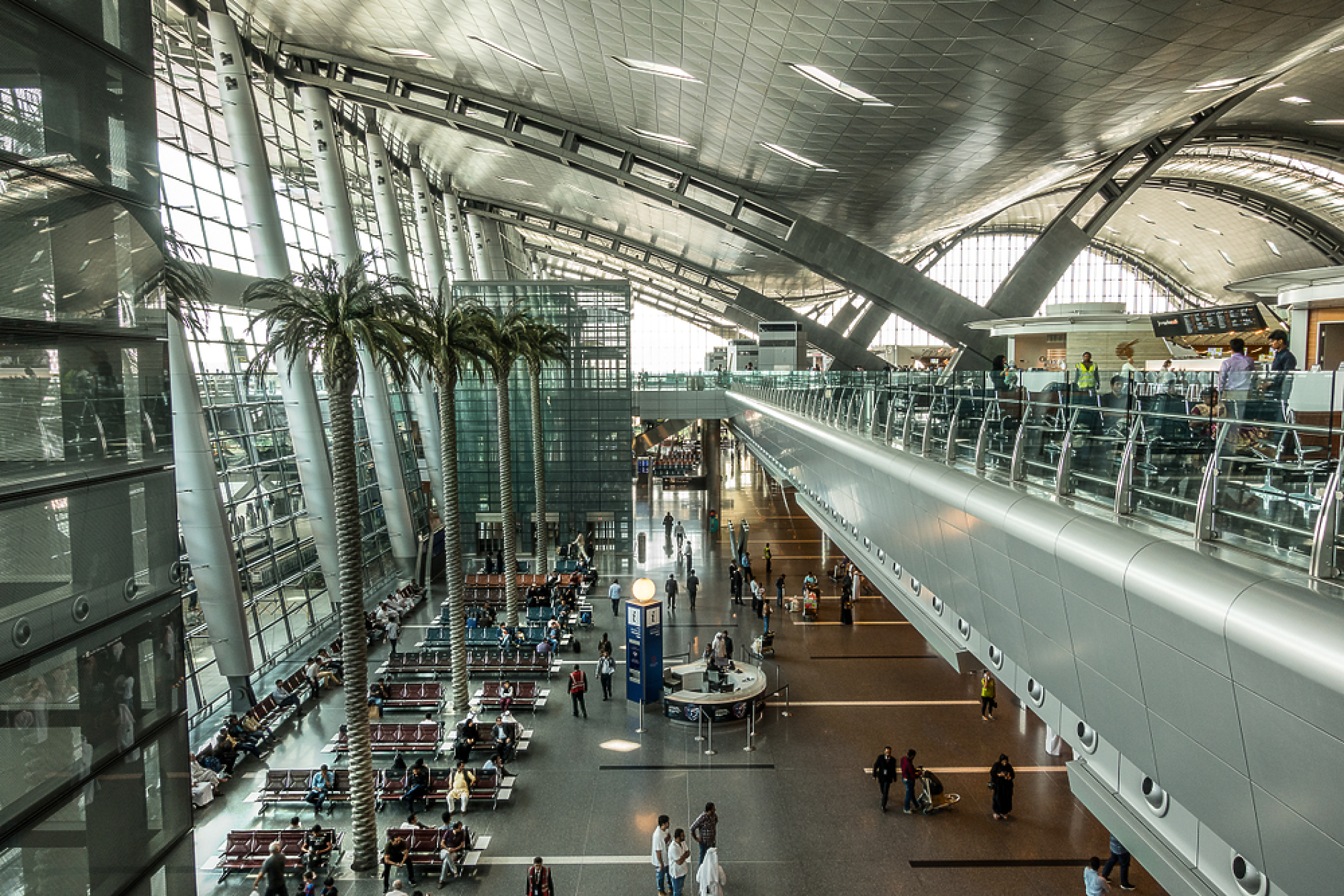 Живи палми се извисяват в зала за пътници в катарското летище "Хамад". Снимка: Shutterstock