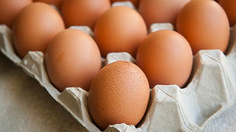 Агенцията по храните проверява 2,6 млн. яйца, внос от Украйна за радиоактивност и тежки метали