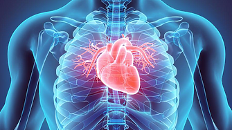 Всеки допълнителен сантиметър на талията повишава риска от проблеми със сърцето