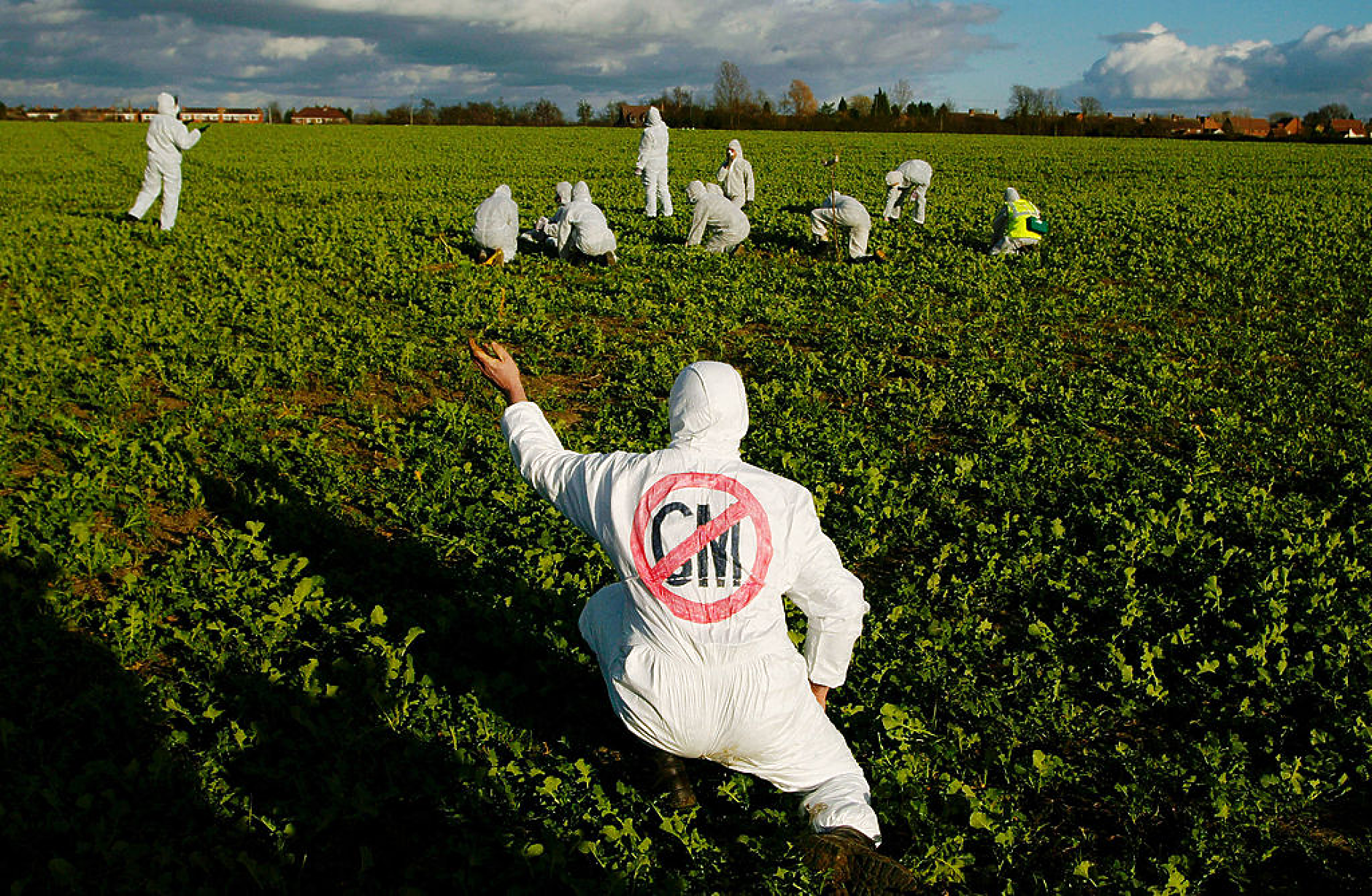 ЕС ще преразгледа правилата за ГМО, за да разхлаби ограниченията върху генно редактираните култури