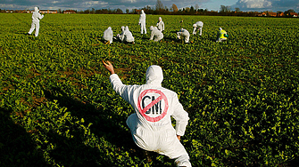 ЕС ще преразгледа правилата за ГМО, за да разхлаби ограниченията върху генно редактираните култури