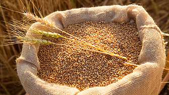 Обединените арабски емирства ще снабдят Египет с пшеница за 500 милиона долара