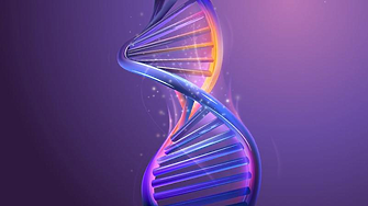  Учени секвенираха последната част от човешкия геном – хромозомата Y
