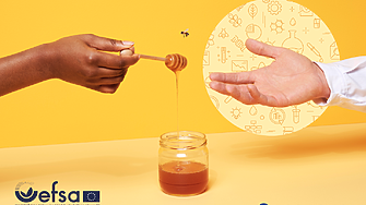 Защо изчезват пчелите? Европа със специална  кампания за опазването им