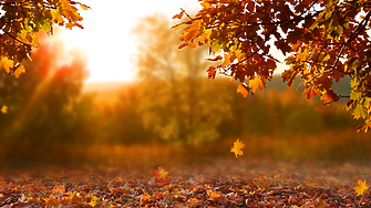 Времето: Мека есен, с временно силен вятър и тенденция за захлаждане