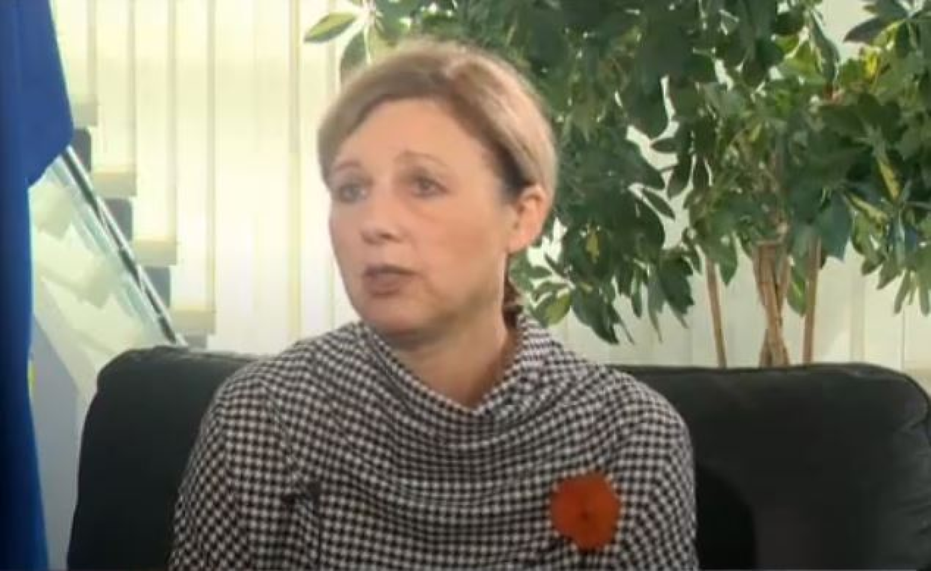 Вера Йоурова за България в Шенген: Ще направя всичко възможно да убедя Нидерландия и Австрия