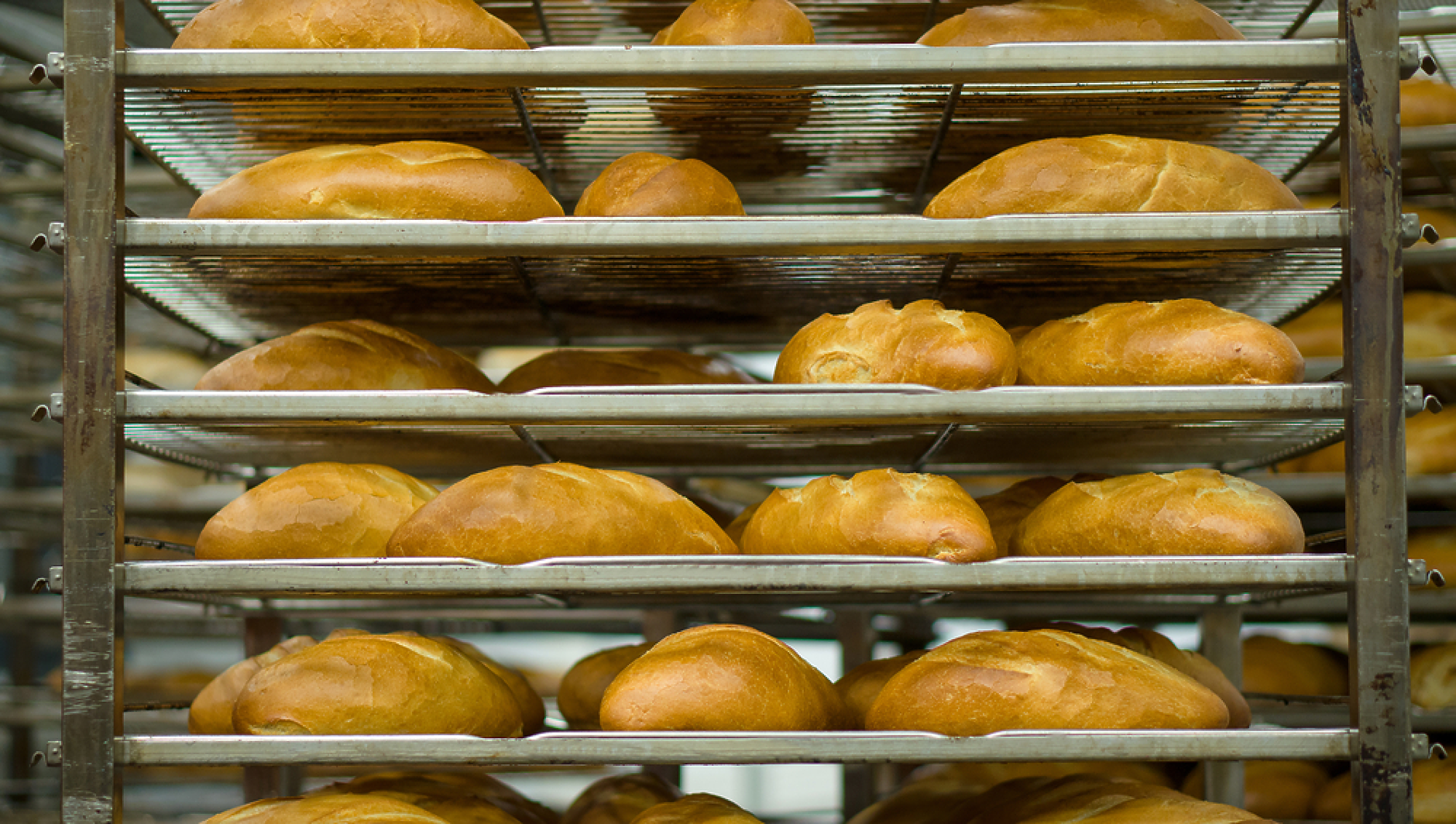 Запазват нулевата ставка на ДДС за хляба и брашното до средата на 2024 г.