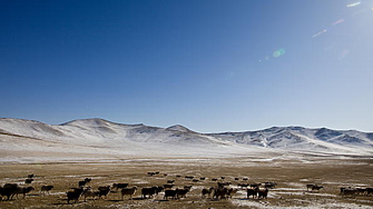Монголия се похвали с 1 млрд. долара приходи от чуждестранни туристи