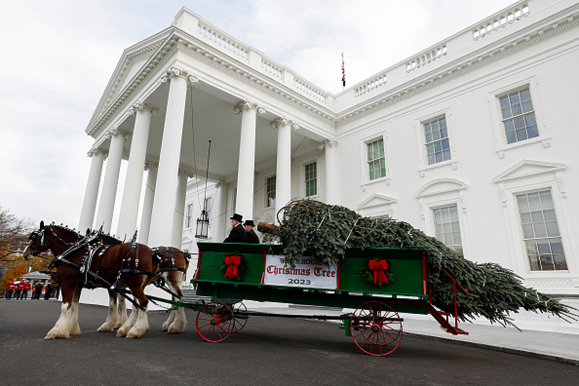 Елхата на Белия дом беше докарана с карета, теглена от коне. Снимка: Getty images
