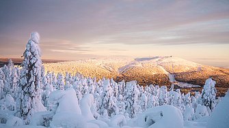 Финландия отбеляза мразовит температурен рекорд