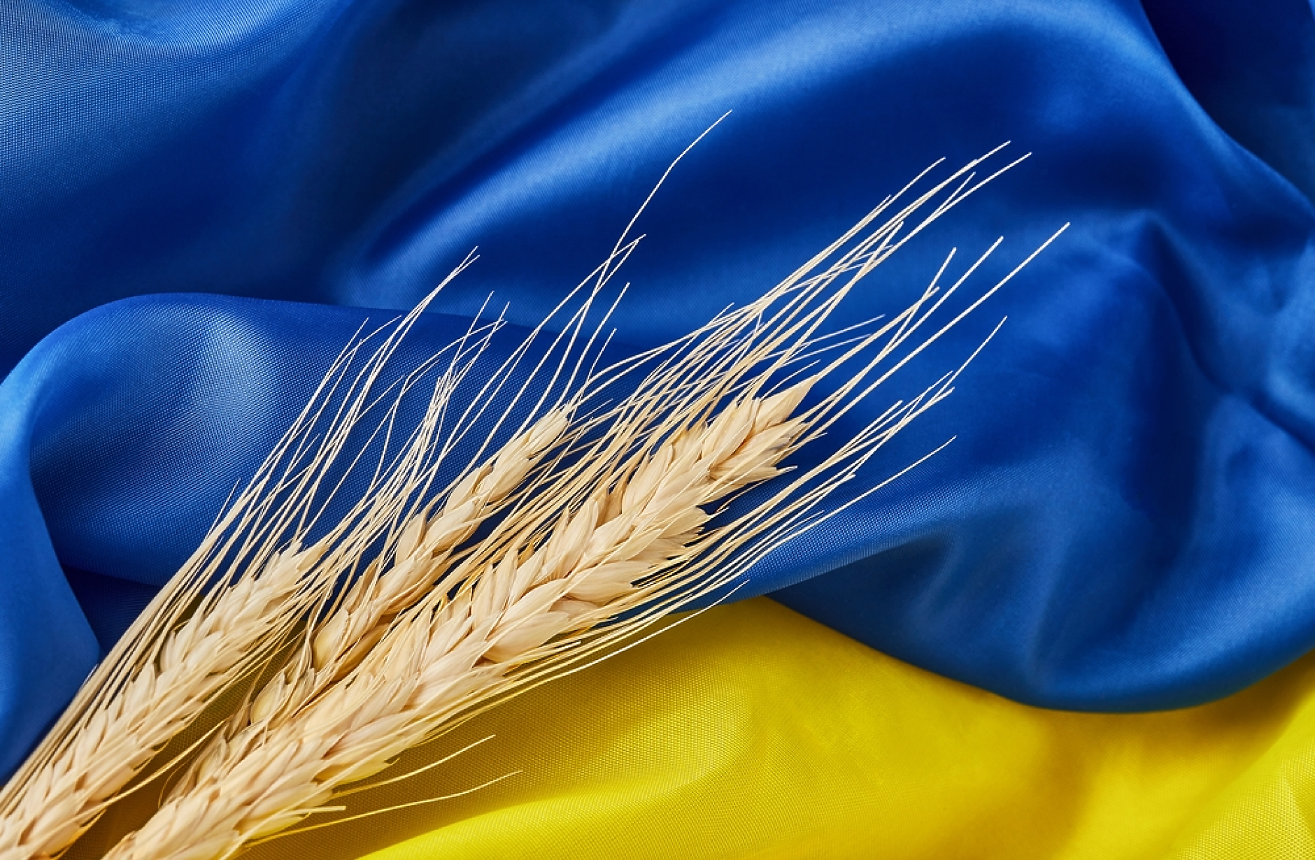 Украйна стана третият най-голям доставчик на селскостопански продукти за ЕС