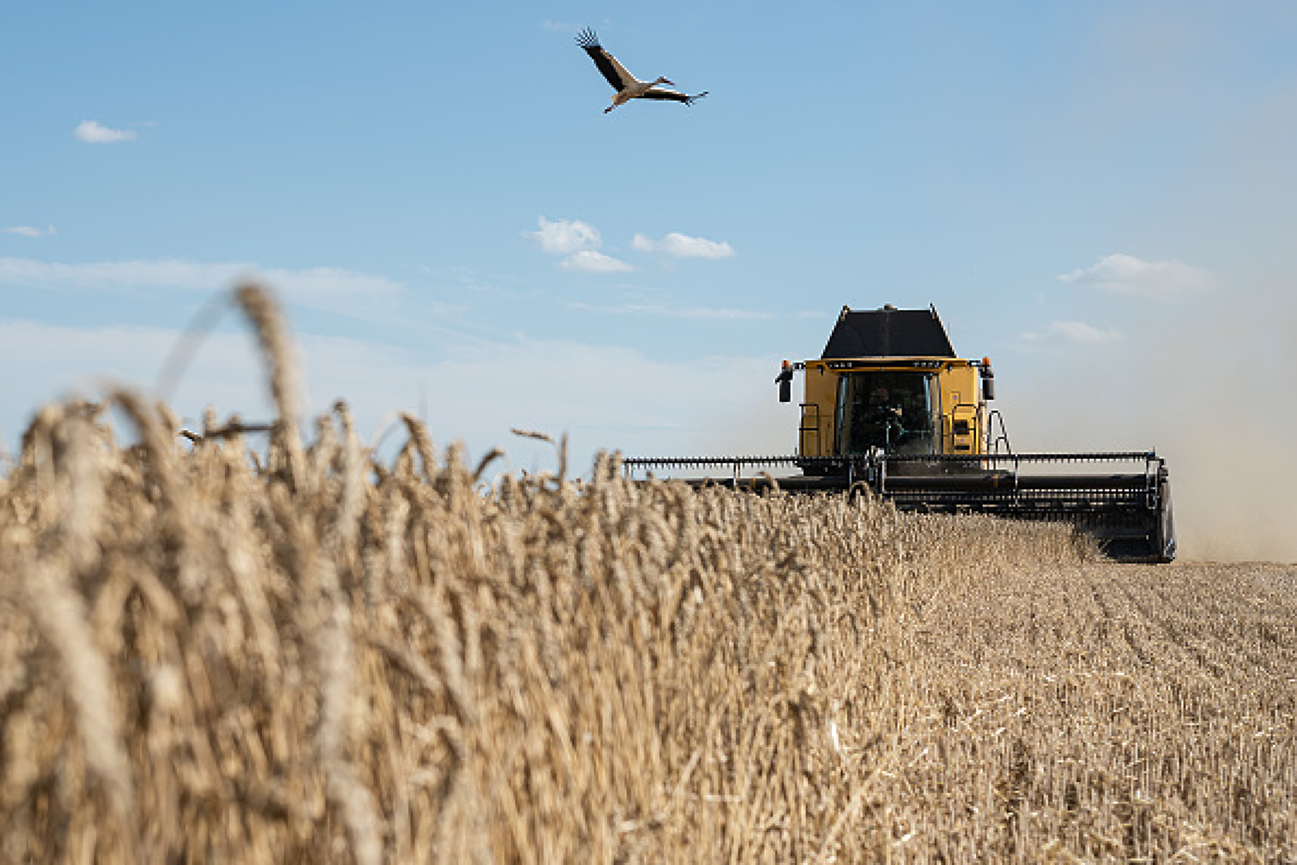 Financial Times : ЕС има планове за въвеждане на мито върху вноса на зърно от Русия и Беларус