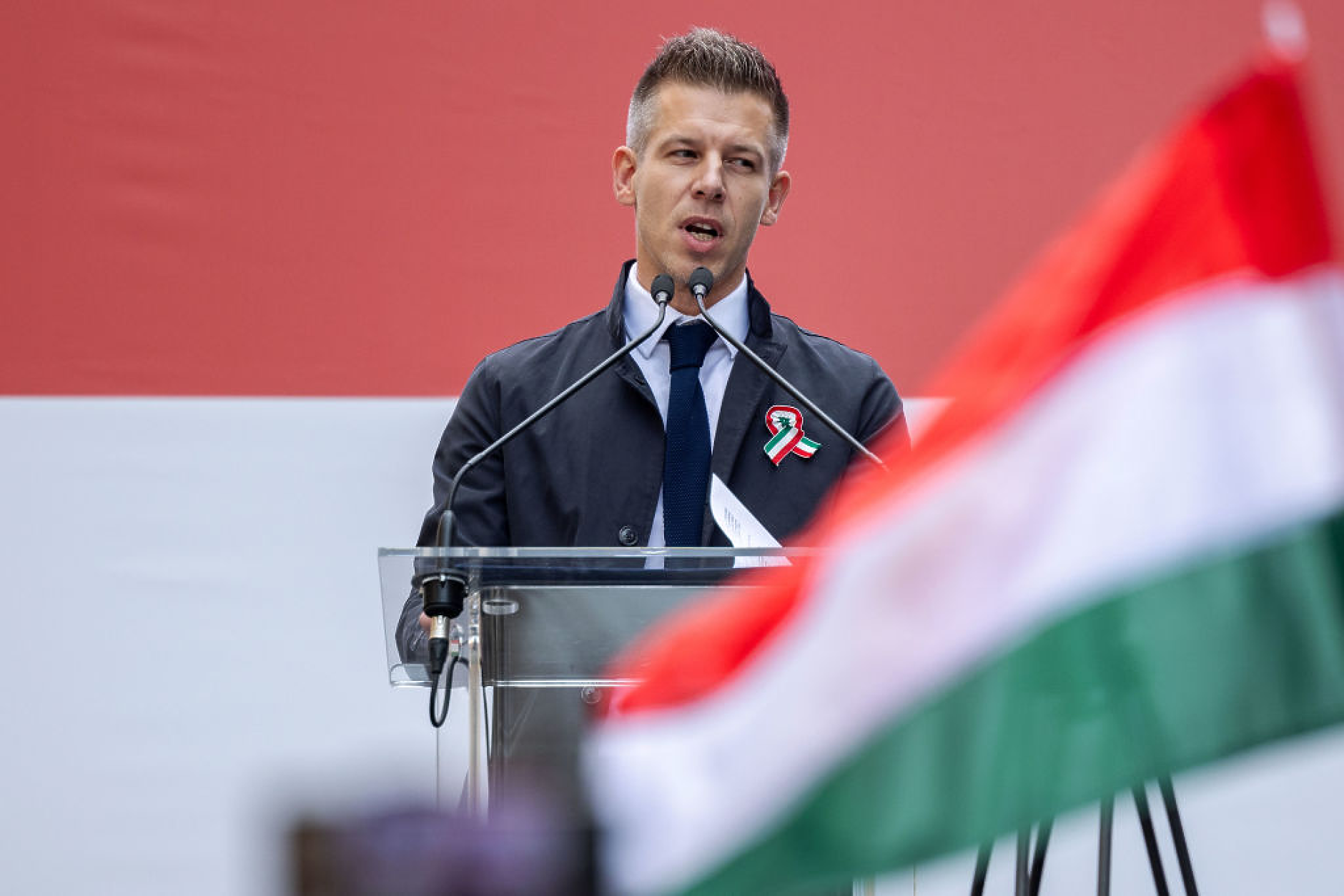 Нов съперник на Орбан ще участва на изборите за Европейски парламент