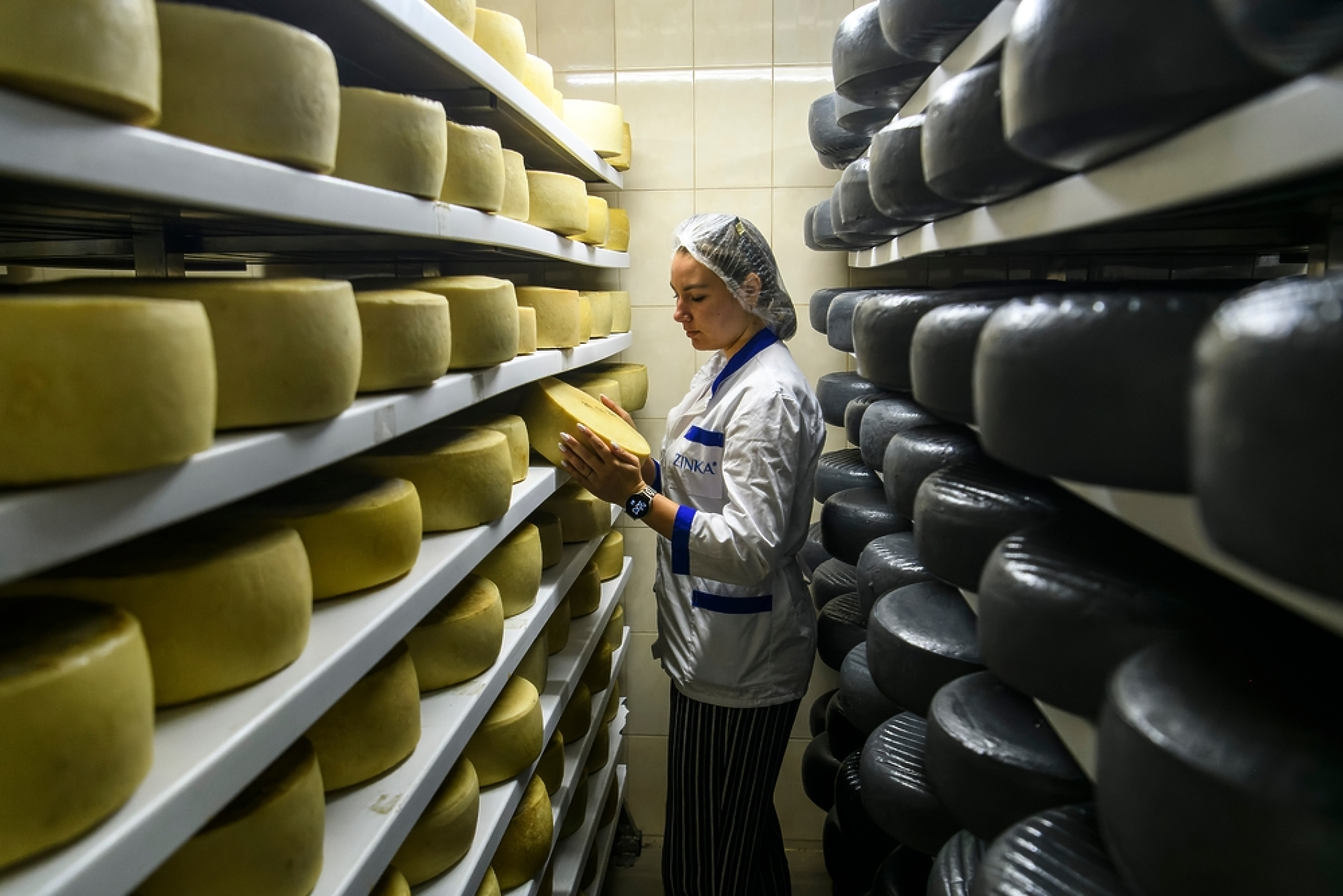 Увеличаваме вноса на евтини млечни суровини от Украйна 