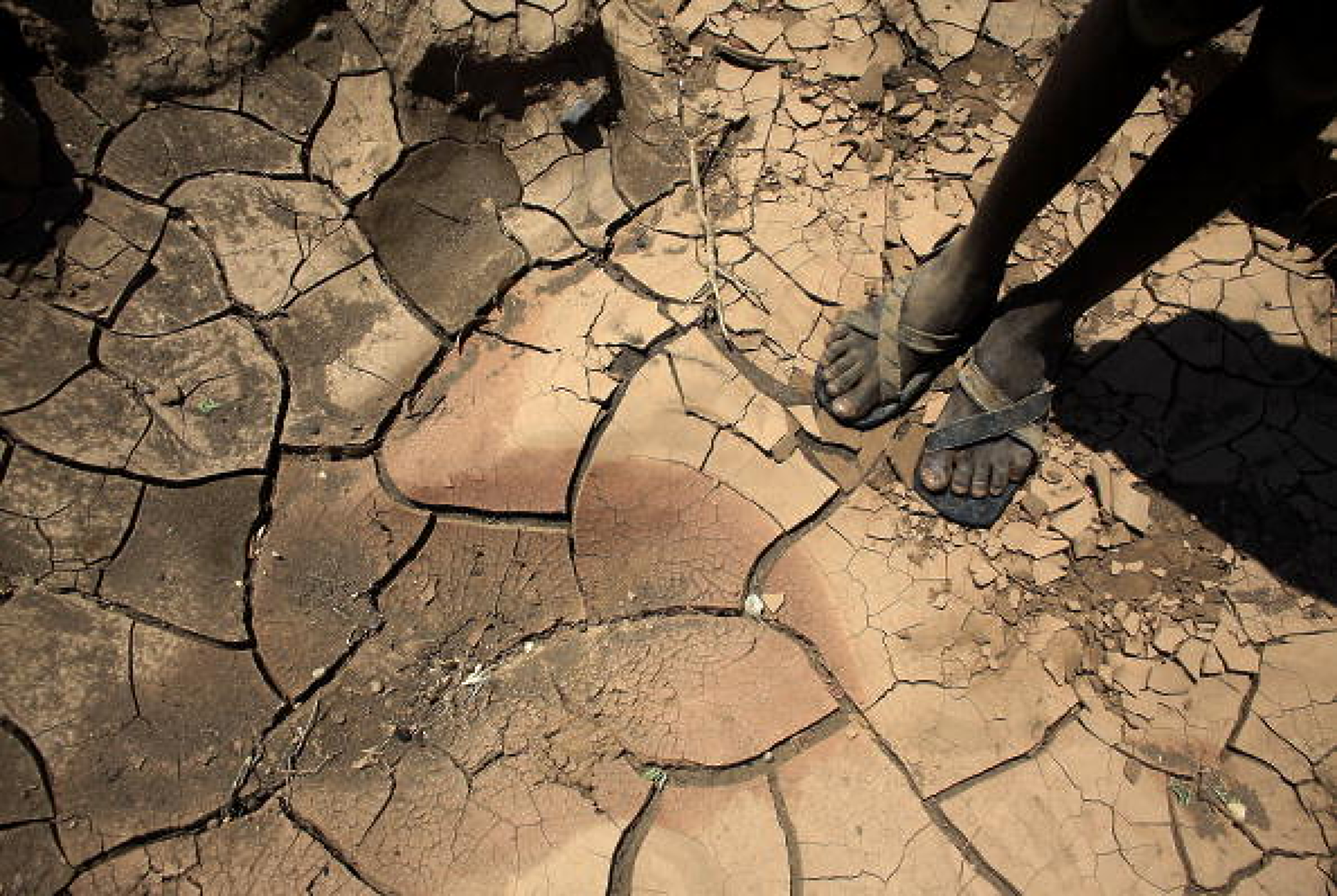 ООН предупреди света, че е на ръба на  климатична катастрофа 