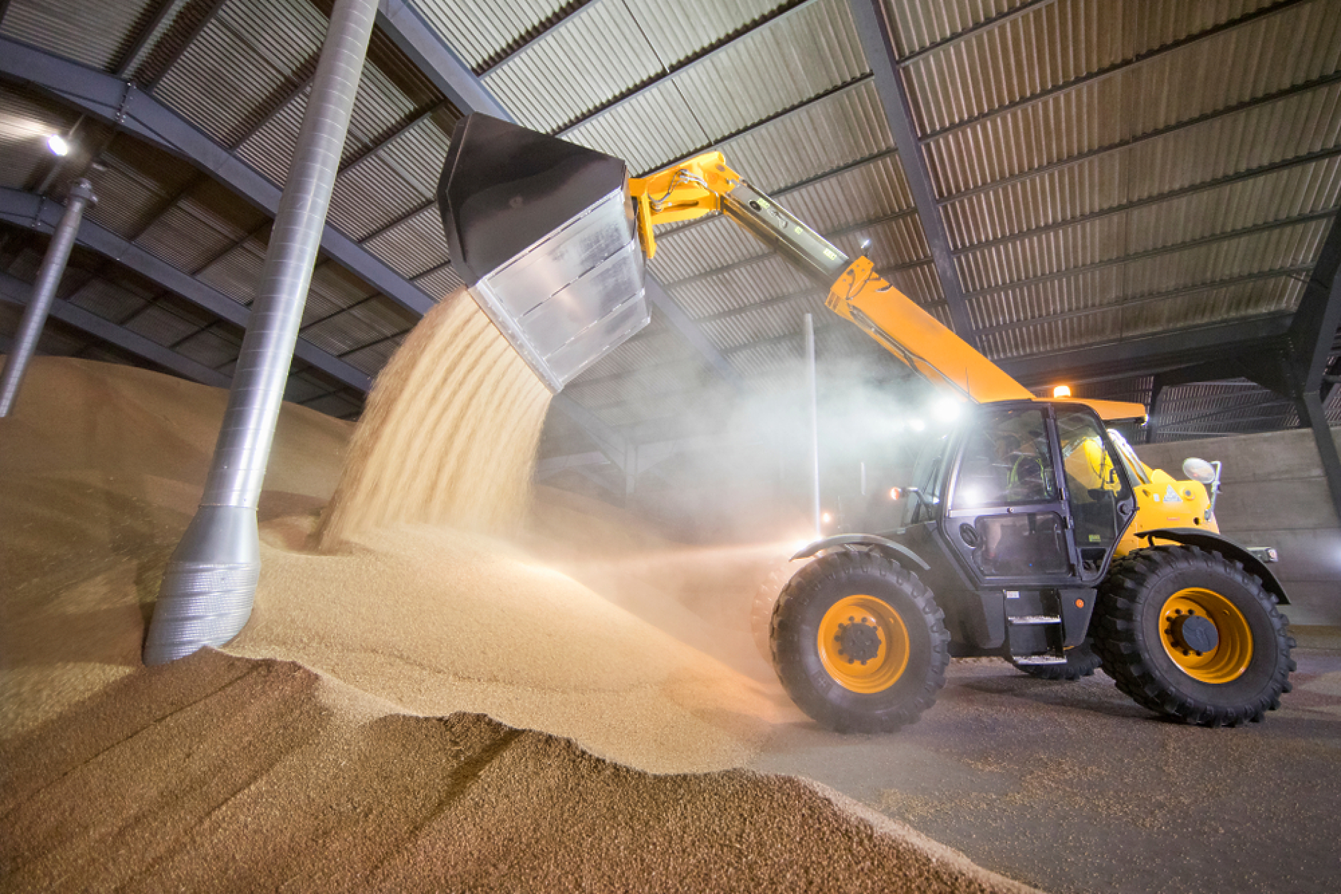 Пшеница и царевицата поскъпнаха на световните борси