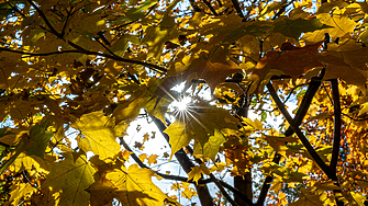Времето в петък: Сутринта - мъгли, през деня - слънце