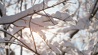 Времето: Снежни виелици и навявания в цялата страна