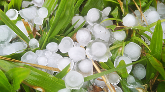 Служители на Агенцията за борба с градушките излязоха на протест